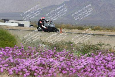 media/Feb-04-2023-SoCal Trackdays (Sat) [[8a776bf2c3]]/Turn 15 Inside Blooming (1050am)/